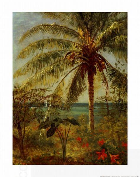Albert Bierstadt Palm Tree, Nassau by Albert Bierstadt China oil painting art